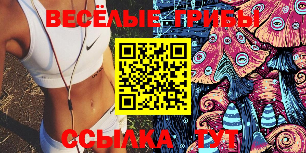 Галлюциногенные грибы Psilocybine cubensis Владивосток