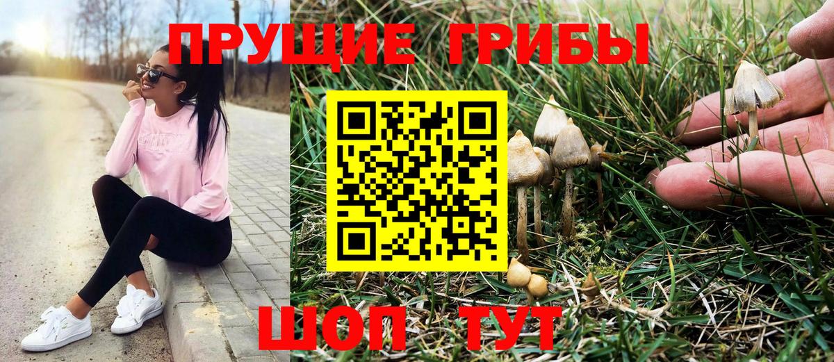 Галлюциногенные грибы ЛСД  Вход с VPN  Псилоцибиновые грибы MAGIC MUSHROOMS  Владивосток 